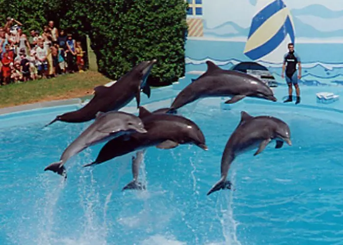 Apartamento Casa Oksana